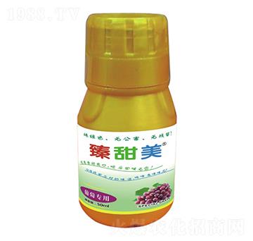 葡萄專用 臻甜美 盛澤坤