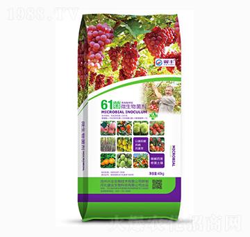 61��΢�������-���S-ʢ�I(y��)