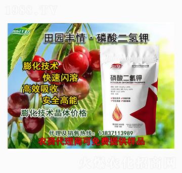 �������⛣����W�ܣ�