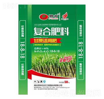 ���и��ጣ�÷�18-8