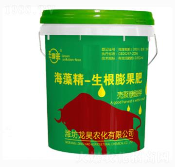 ���徫���������-ţĦ��-��껷ʘI(y��)