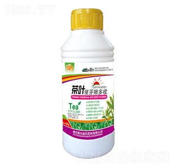 500g���~��ѿ�۶���