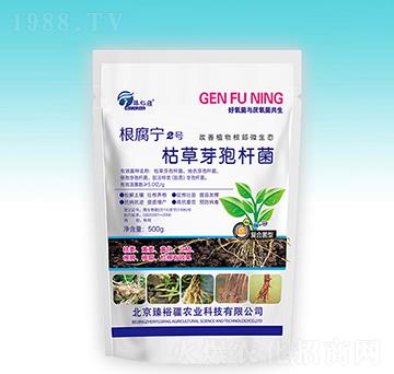 枯草芽孢桿菌-根腐寧2號(hào)-臻裕疆