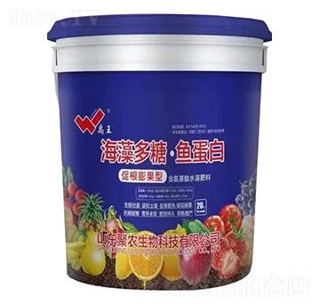 �ٸ�����ͺ�����ǡ��~