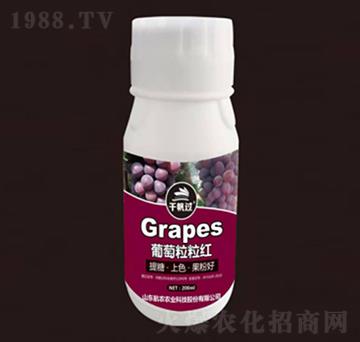 葡萄粒粒紅-航農(nóng)農(nóng)業(yè)