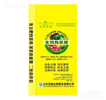 �����ЙC��-ʥ������-ʥ��