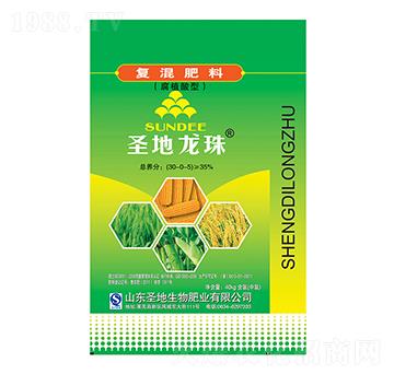 ��ֳ���͏ͻ����30-0-5-ʥ������-ʥ��