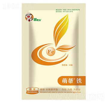 �Ȏ��F-�Ȏ�