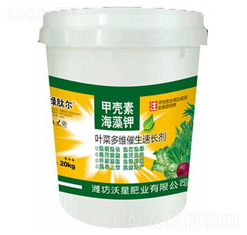 葉菜多維催生速長(zhǎng)劑-沃星肥業(yè)