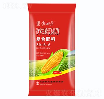 ���׸�ֲ���(f��)�Ϸ���30-6-6-�\��ZԴ-�t�ķ�