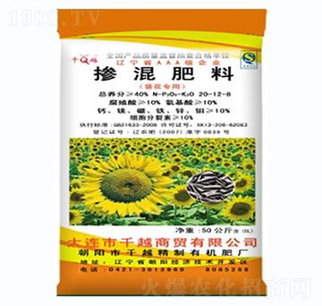 �������Ó������20-