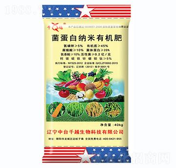 �����׼{���ЙC(j��)��-ǧԽ