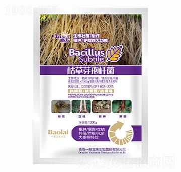 1000g枯草芽孢桿菌-那優(yōu)-一撒寶來