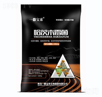 哈茨木霉菌-一撒寶來(lái)