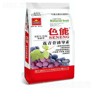 �������T����-ɫ��-������