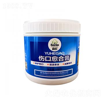 傷口愈合膏-海岱綠洲