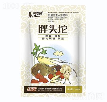 胖頭坨-戰(zhàn)車