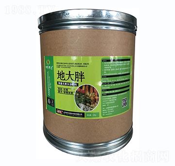 塊莖膨大地大胖-戰(zhàn)車