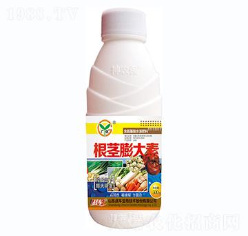 根莖膨大素-戰(zhàn)車