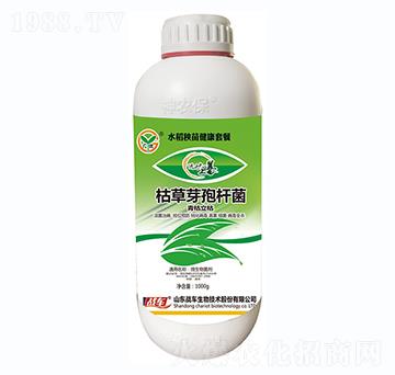 水稻秧苗健康套餐-枯草芽孢桿菌-戰(zhàn)車