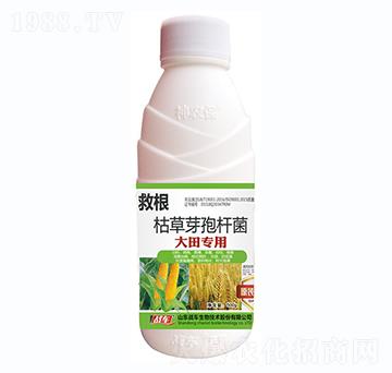 大田專用枯草芽孢桿菌-救根-戰(zhàn)車