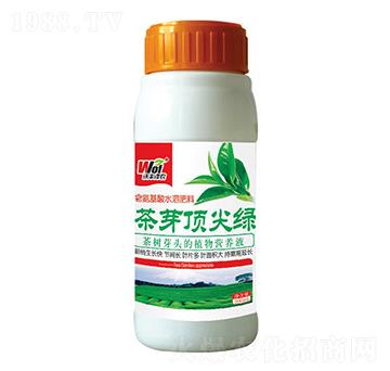 茶芽綠-沃豐澤農(nóng)-沃豐生物