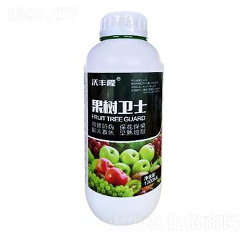 �����l(w��i)ʿ-��