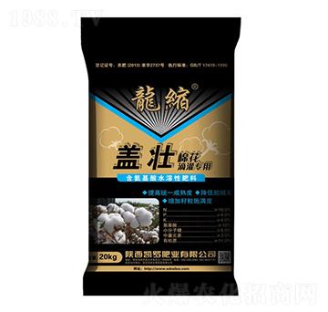 �w���޻��ι����÷�-�P�_�ʘI(y��)
