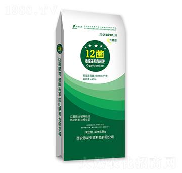 ���������ЙC(j��)��-12��-��������