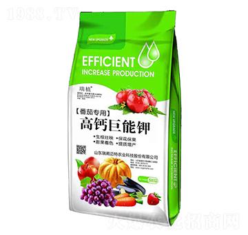 ���ь�(zhu��n)��-���}�����-���w�~��