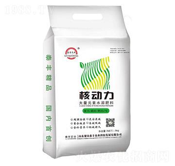 大量元素水溶肥-核動(dòng)力-梁山泰豐