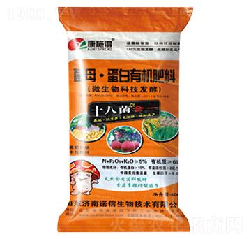 ��ĸ�������ЙC����-ʮ