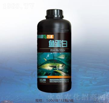 1000克魚蛋白-百潤惠邦