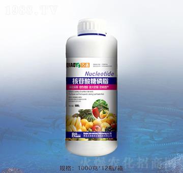 核苷酸糖磷脂-百潤(rùn)惠邦