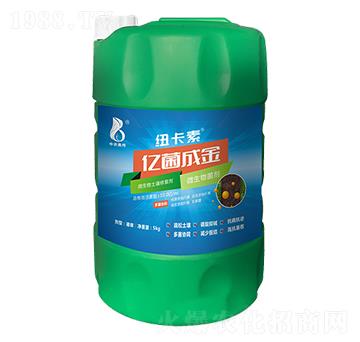 ΢���������ޏ̈́�-�|��