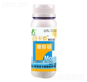 �Ǵ��f-���r�W��