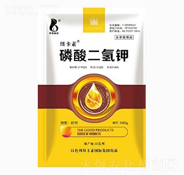 ��������-���r�W��