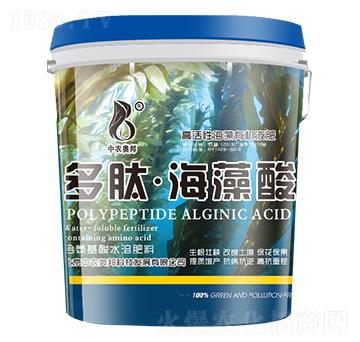 ���ġ�������-���r�W��