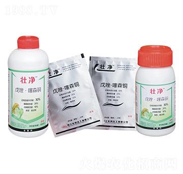戊唑·噻森銅-壯凈-東風化工