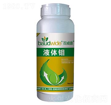 Һ�w�f-������