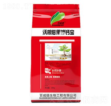 �ָ������}��-������