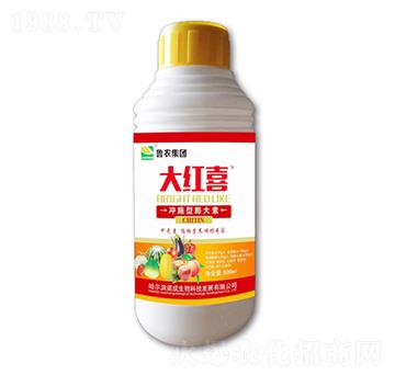 大紅喜沖施型膨大素-魯農(nóng)集團(tuán)