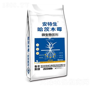哈茨木霉-安特生-魯農(nóng)集團(tuán)