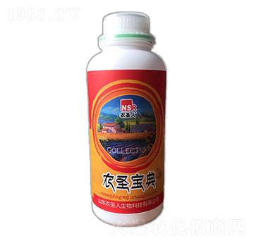 紅果素-農(nóng)圣寶典-農(nóng)圣人