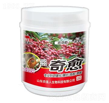 奇愈-農(nóng)圣人