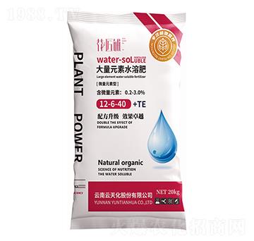 微量元素型大量元素水溶肥12-6-40+TE-花匠鋪-百鎂
