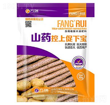 山藥控上促下寶-方瑞
