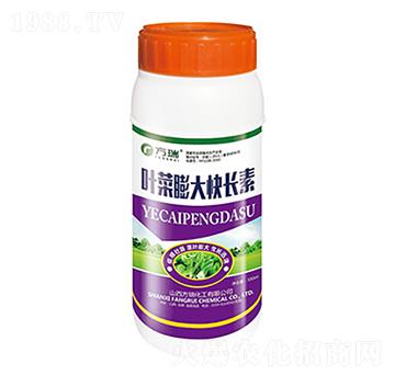 500ml葉菜膨大快長(zhǎng)素-方瑞