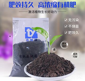 �ߝ�s�ЙC(j��)����-����