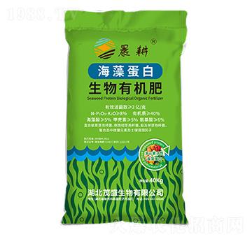 ���嵰�������ЙC(j��)��-����-ïʢ����